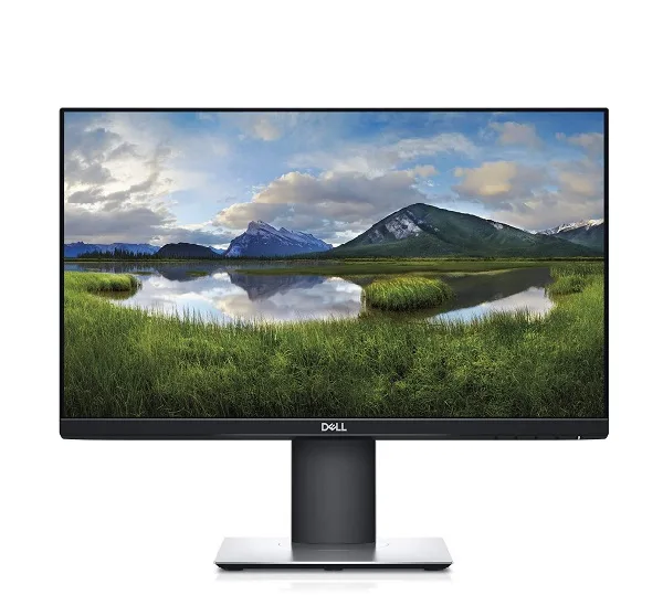 Dell P2219H
