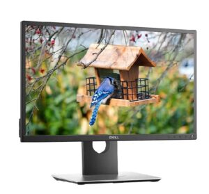 مانیتور استوک P2017H