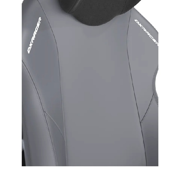 صندلی گیمینگ دی ایکس ریسر DXRacer Craft Series 2023 XL Gray