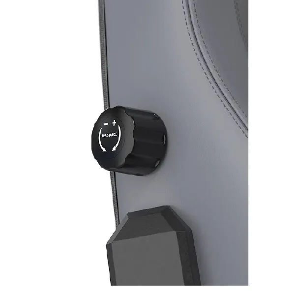 صندلی گیمینگ دی ایکس ریسر DXRacer Craft Series 2023 XL Gray
