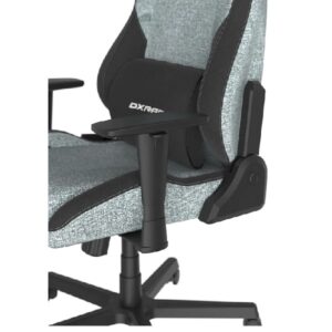 صندلی گیمینگ دی ایکس ریسر Dxracer Drifting Series 2023 Cyan Black XL